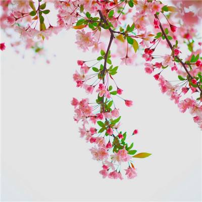 代号全网公敌最新版(暂未上线)v1.0 安卓版